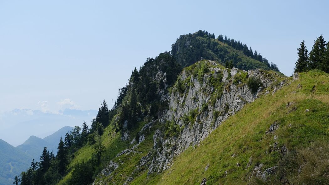山景自然之美，高清4K斜坡树木壁纸，3840x2160分辨率畅享下载