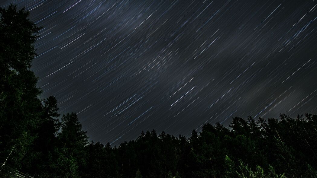 深邃星空，旋转树影与闪烁星星，4K高清长曝光深色壁纸，3840x2160超清下载
