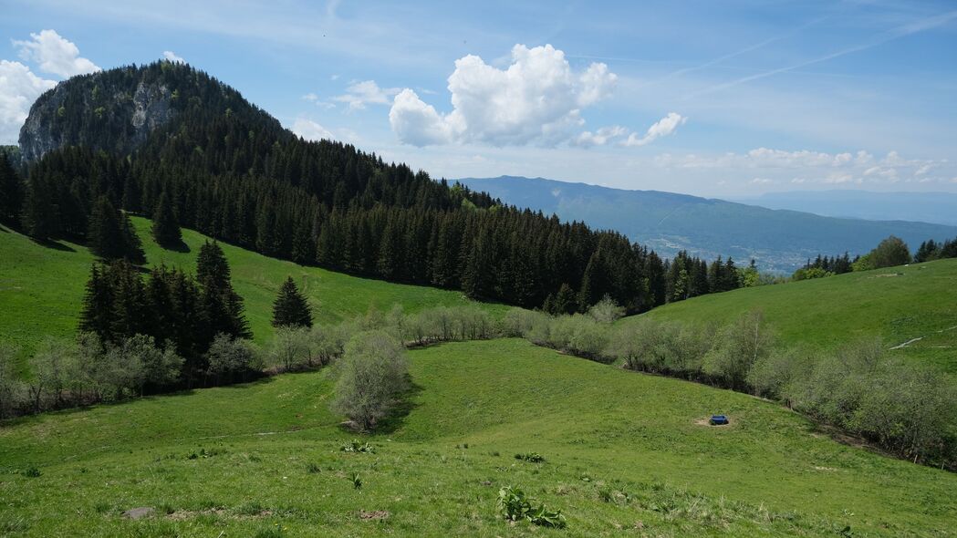 山景绿化高清壁纸，斜坡草坪树木美景，4K超清3840x2160分辨率下载