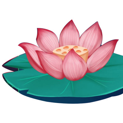 中国风手绘荷花插画，高清PNG透明动植物元素图片素材下载