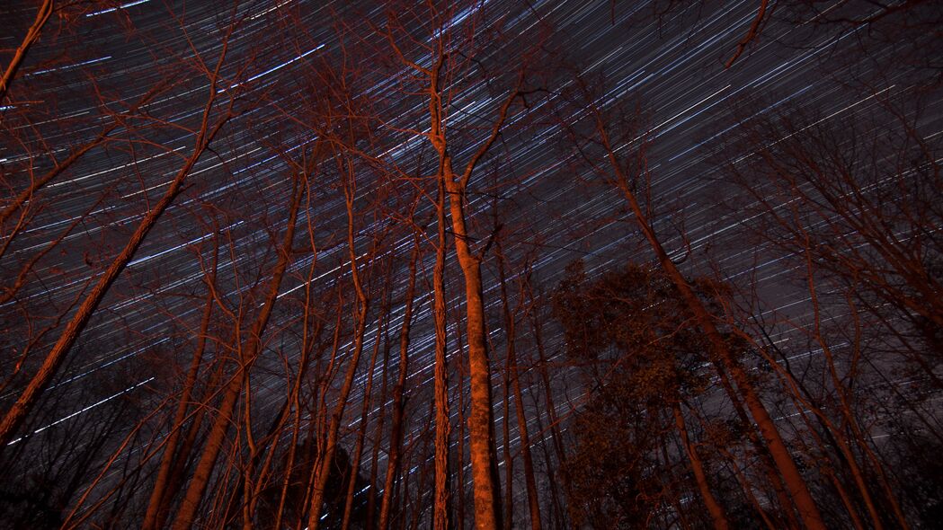 树影斑驳映星光，4K长曝光壁纸，超清3840x2160风景美图下载