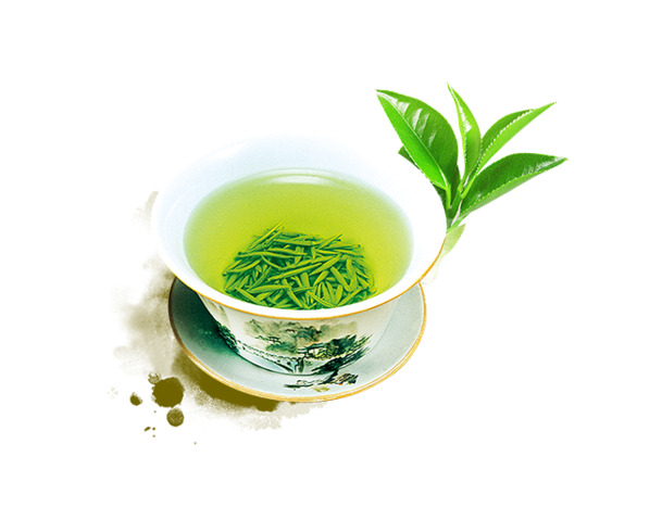 茶杯中的西湖龙井，高清PNG透明图片，生活装饰元素设计素材下载