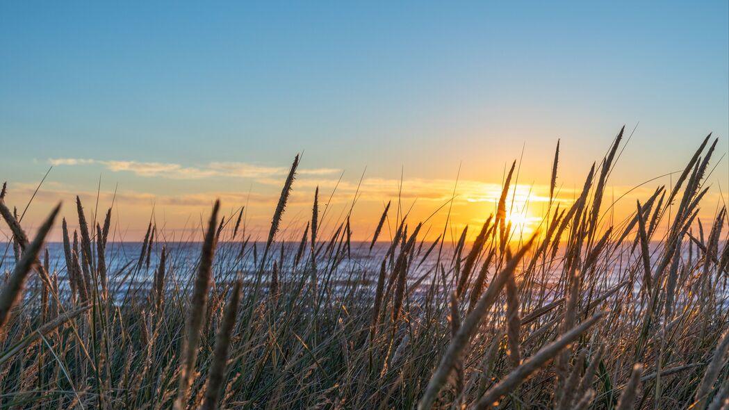 草耳水映夕阳，自然之美尽在眼前——超清4K风景壁纸（3840x2160）免费下载