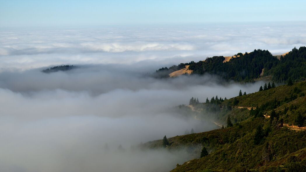 自然丘陵雾景，树木掩映4K高清壁纸，3840x2160超清下载