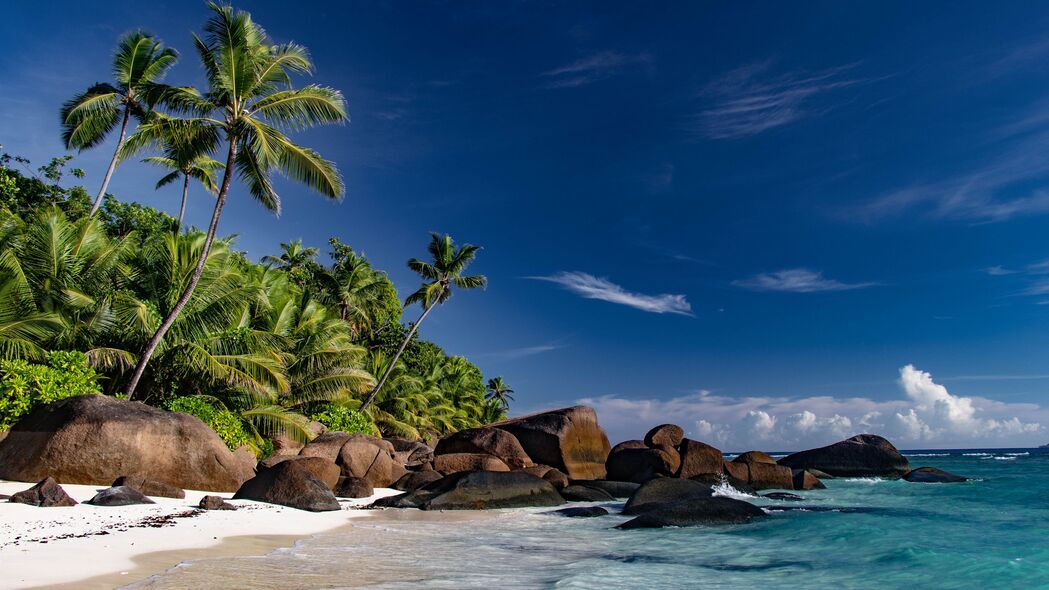 夏日海滩美景，棕榈摇曳，大海浩渺，4K超高清壁纸（3840x2160）免费下载