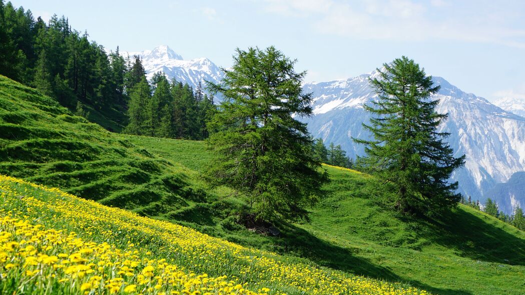 夏日山坡花树盛景，4K超清自然风景壁纸，3840x2160高清下载