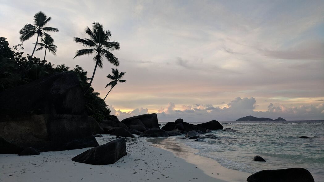 海滩黄昏美景，棕榈摇曳，岩石映海，超高清4K壁纸3840x2160免费下载