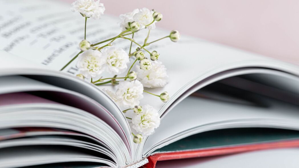 Gypsophila花枝书页，唯美4K壁纸，3840x2160高清下载