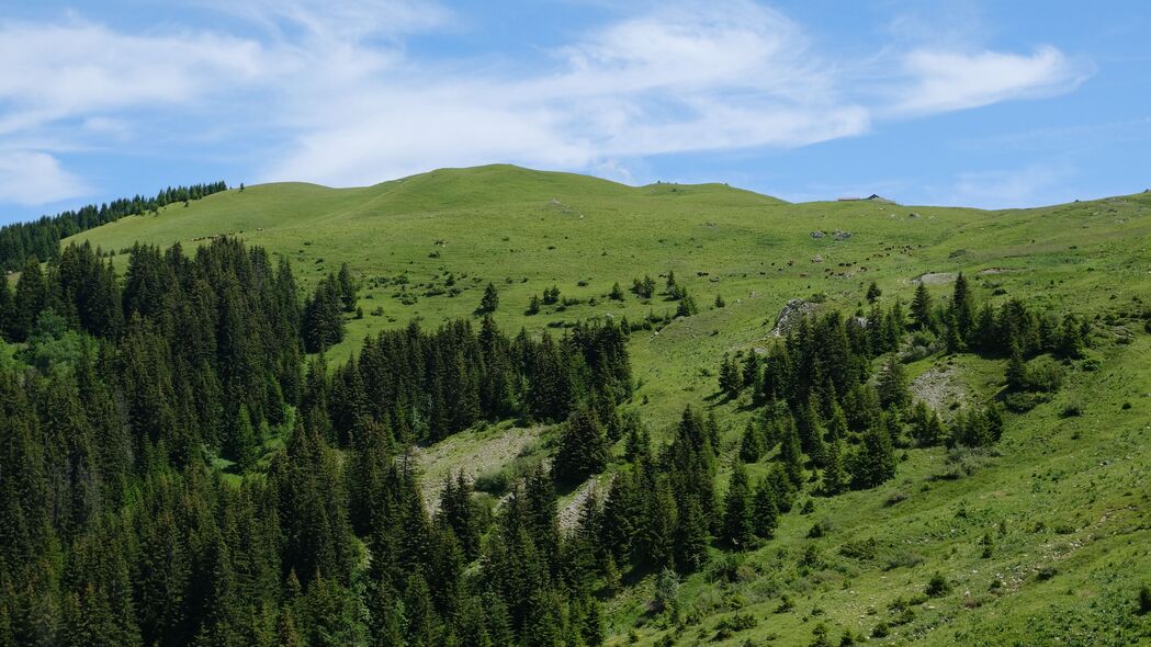 绝美山丘树木鸟瞰4K壁纸，高清自然景观背景，3840x2160分辨率下载