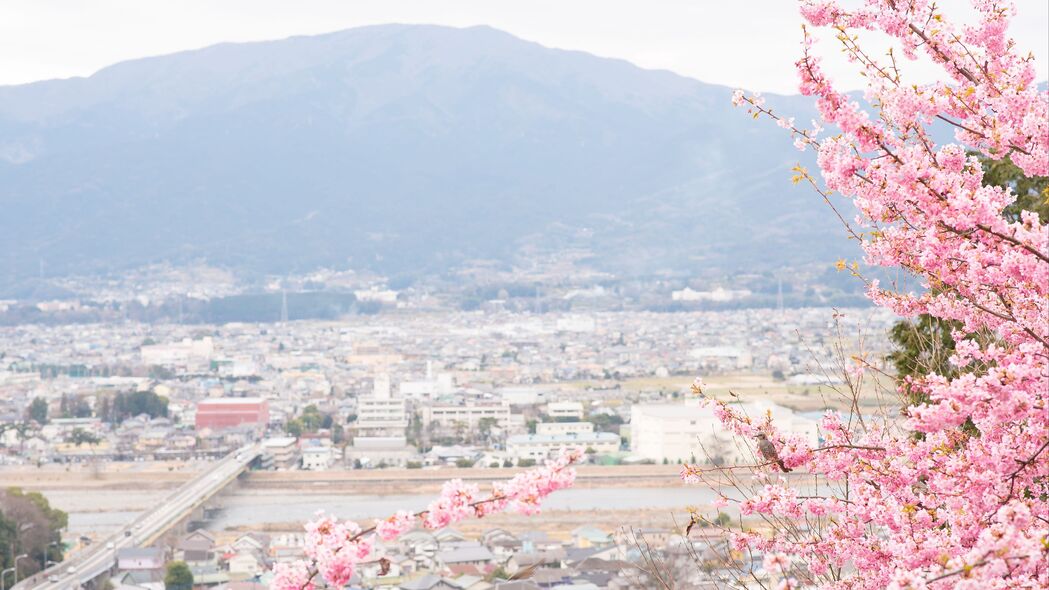 春日樱花绚烂，日本城市风光4K壁纸，3840x2160高清背景图片免费下载