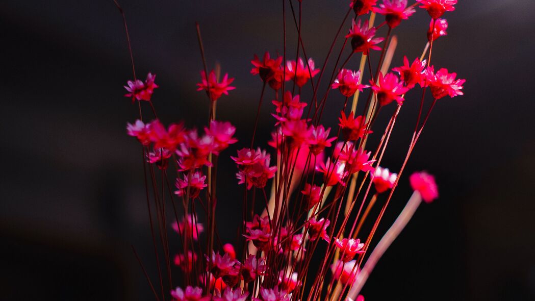 粉红花卉盛放，绝美花束与花瓶4K高清壁纸，3840x2160分辨率，免费下载