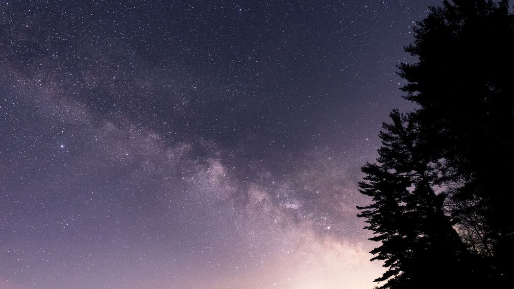 夜晚星空下的紫色大树，深色4K高清壁纸，3840x2160分辨率，绝美背景图片免费下载