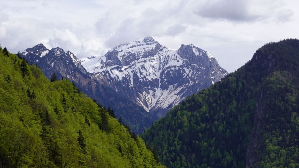 山脉森林树木绝美风景，高清4K壁纸，3840x2160分辨率，畅享自然之美，一键下载！