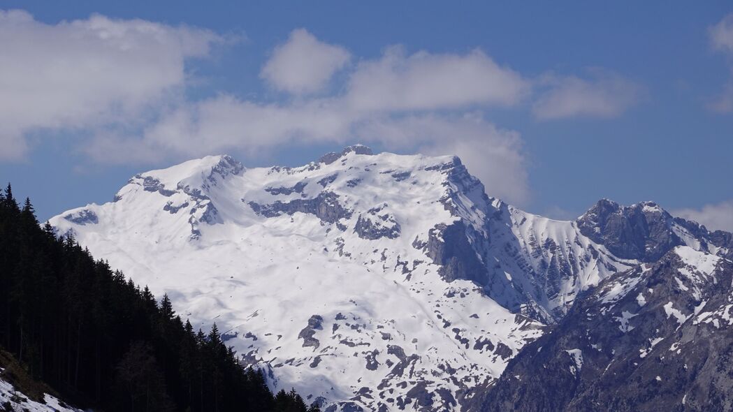 山脉森林雪景高清4K壁纸，树木繁茂，景观壮丽，3840x2160超清下载