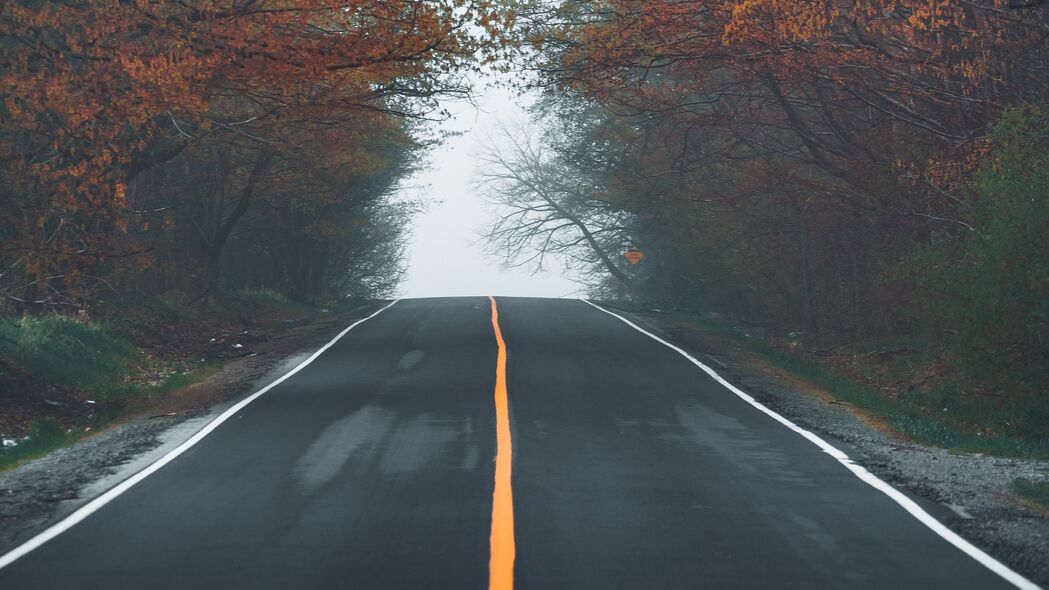 雾锁沥青路，树木隐约可见——高清4K风景壁纸（3840x2160）下载