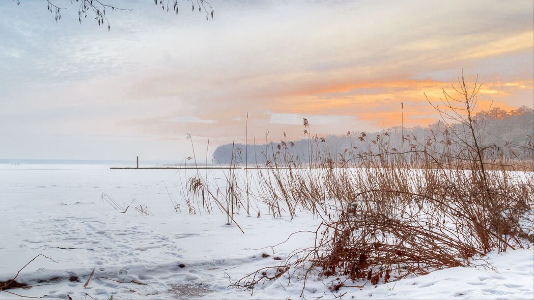 冬日湖光芦苇雪，自然浅色美景，4K高清壁纸3840x2160免费下载