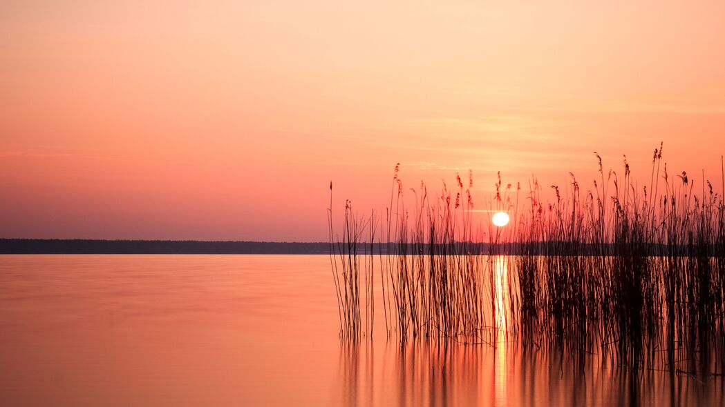太阳日落芦苇湖泊美景，绝美4K壁纸，3840x2160高清下载，地平线风光尽收眼底