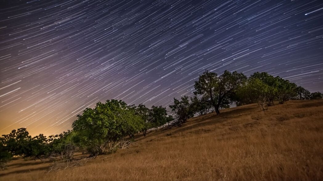 夜晚星辰长曝光，树木静谧，高清4K风景壁纸（3840x2160）免费下载