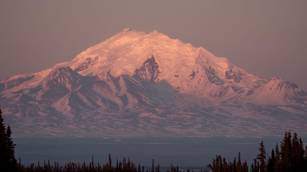 山巅森林黄昏美景，4K超高清壁纸，3840x2160分辨率，尽享自然震撼之旅