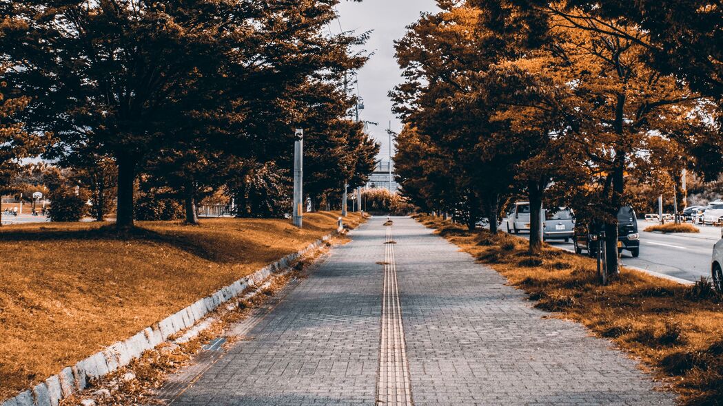 高清4K人行道树木小巷街道壁纸，3840x2160超清背景图片下载