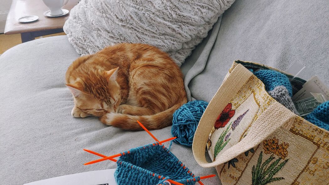 棕色猫咪甜梦，高清4K宠物动物壁纸，3840x2160分辨率免费下载