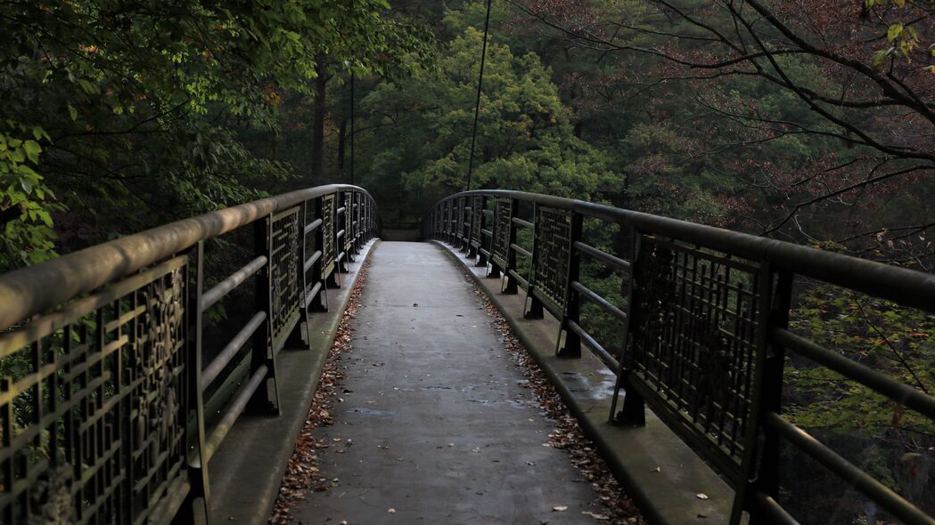 桥梁映树影，自然之美4K超清壁纸——3840x2160高清风景图片，一键下载