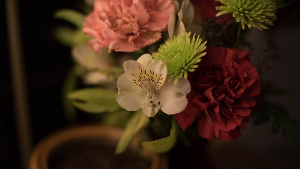 绝美花束鲜花构图，超清4K壁纸，震撼宏观视觉，3840x2160高清下载