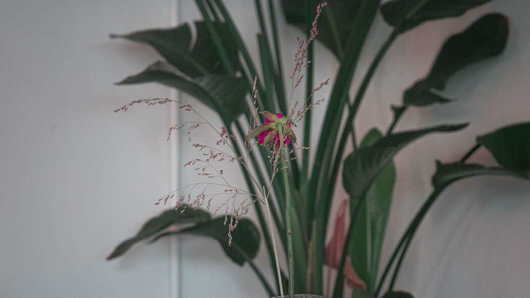 4K高清壁纸，绚丽花枝与花瓶，精致细节尽在眼前，3840x2160分辨率下载