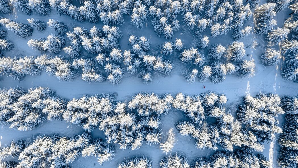 冬日森林雪景，超高清4K鸟瞰壁纸，3840x2160分辨率，免费下载