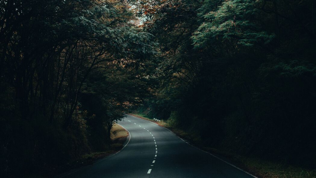 道路沥青转弯，森林树木绿意盎然——4K高清壁纸，3840x2160超清下载，领略自然之美！