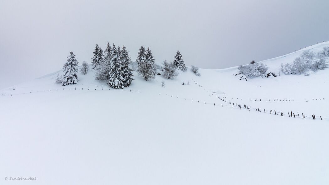 冬日山丘雪景，高清4K云杉树壁纸，3840x2160超清下载