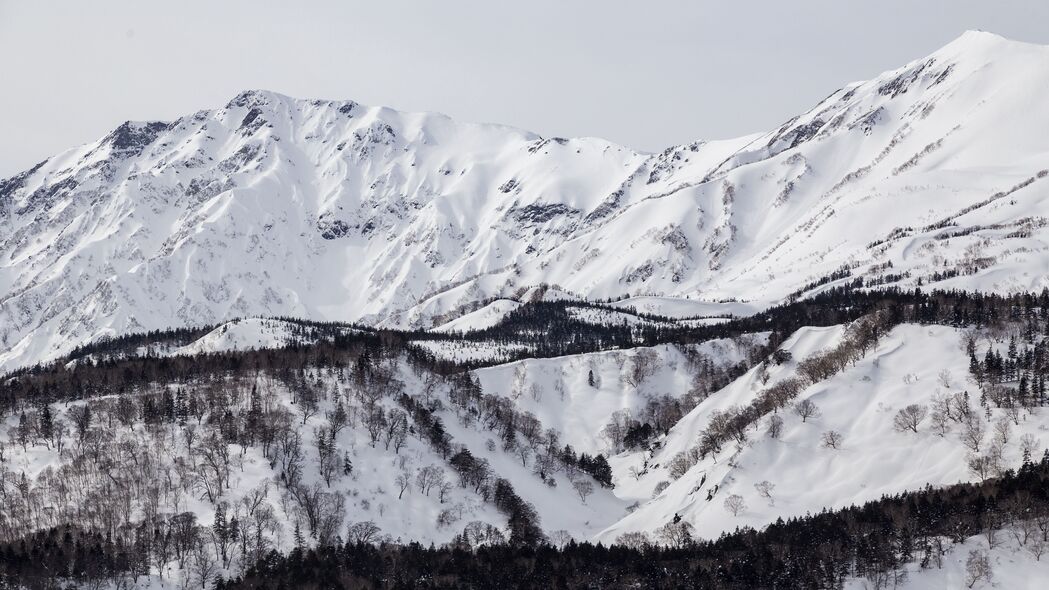 冬日雪景，山坡雪树高清4K壁纸，3840x2160分辨率，绝美风景一览无余！