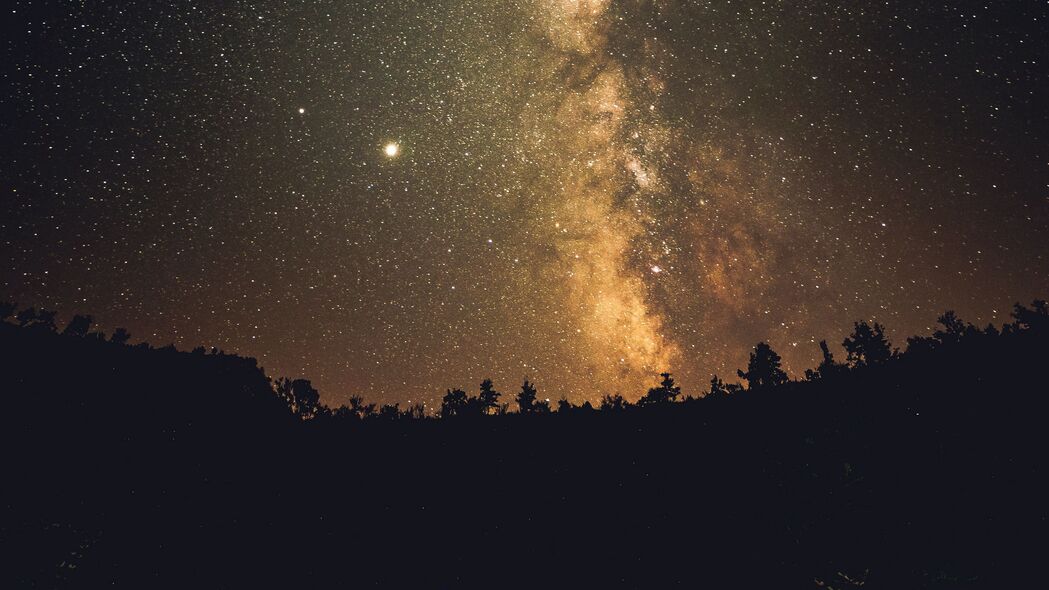 【高清精选】夜晚银河星星深色调4K壁纸，树木剪影，超清3840x2160分辨率，绝美背景图片下载