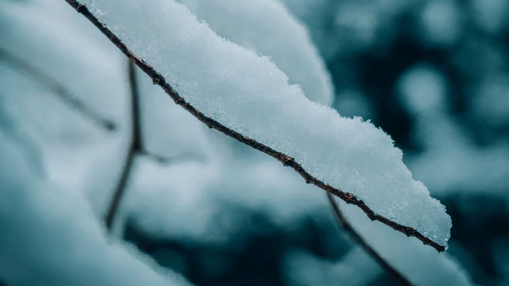 冬日雪景，宏大自然之美，树枝披雪高清4K壁纸（3840x2160）免费下载