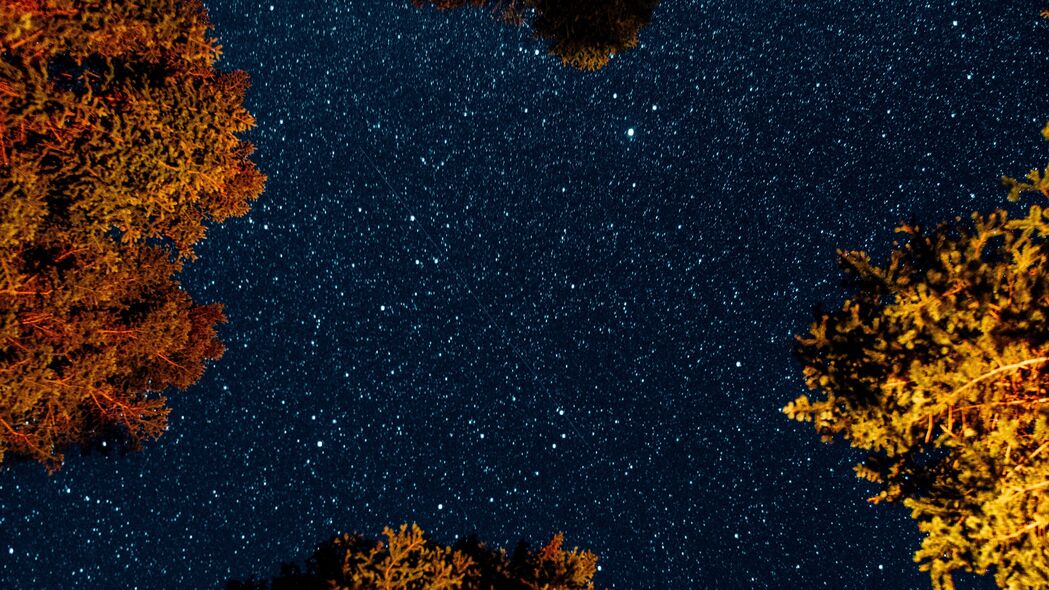 星空之夜，深色空间4K高清壁纸，3840x2160超清分辨率，尽享棵树与星河的浪漫夜晚