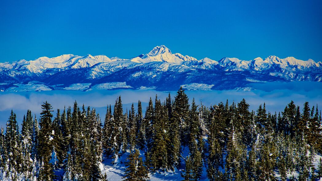 冬日山脉云杉雪景，高清4K风景壁纸，3840x2160超清下载