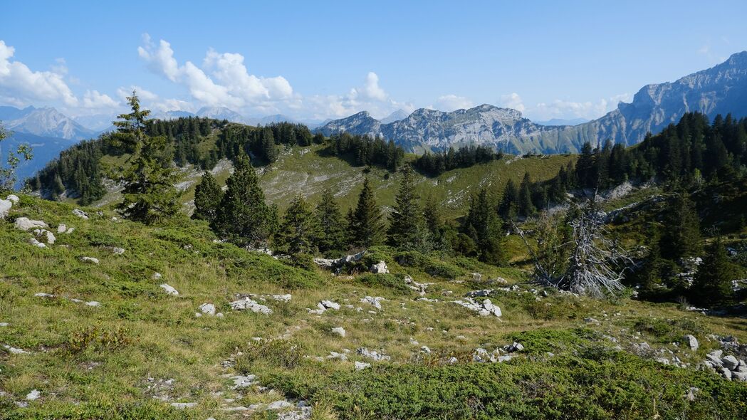 山脉云杉草地绝美风景，4K超清壁纸震撼来袭！3840x2160高清分辨率，让您的屏幕焕然一新！