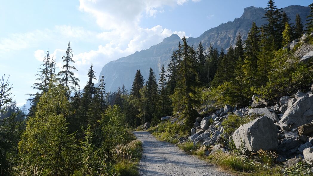 山脉森林道路美景，4K高清壁纸，3840x2160分辨率，树木景观尽在眼前，一键下载
