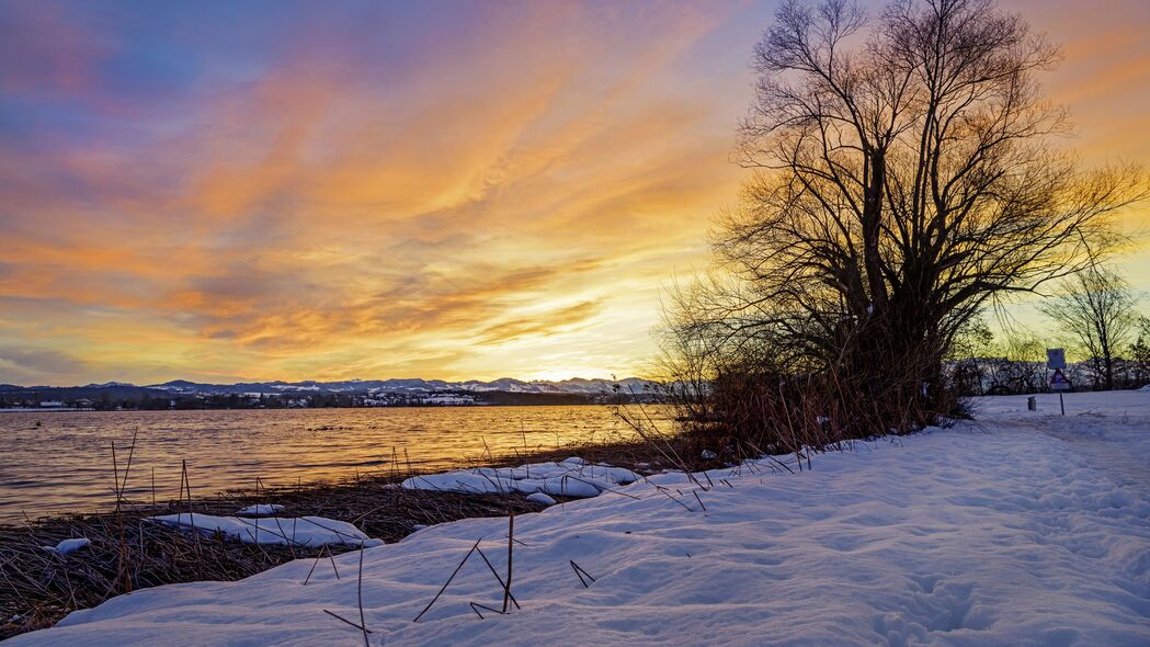 冬日湖畔雪落，落日映树美景，4K超清壁纸3840x2160，高清下载尽在此处