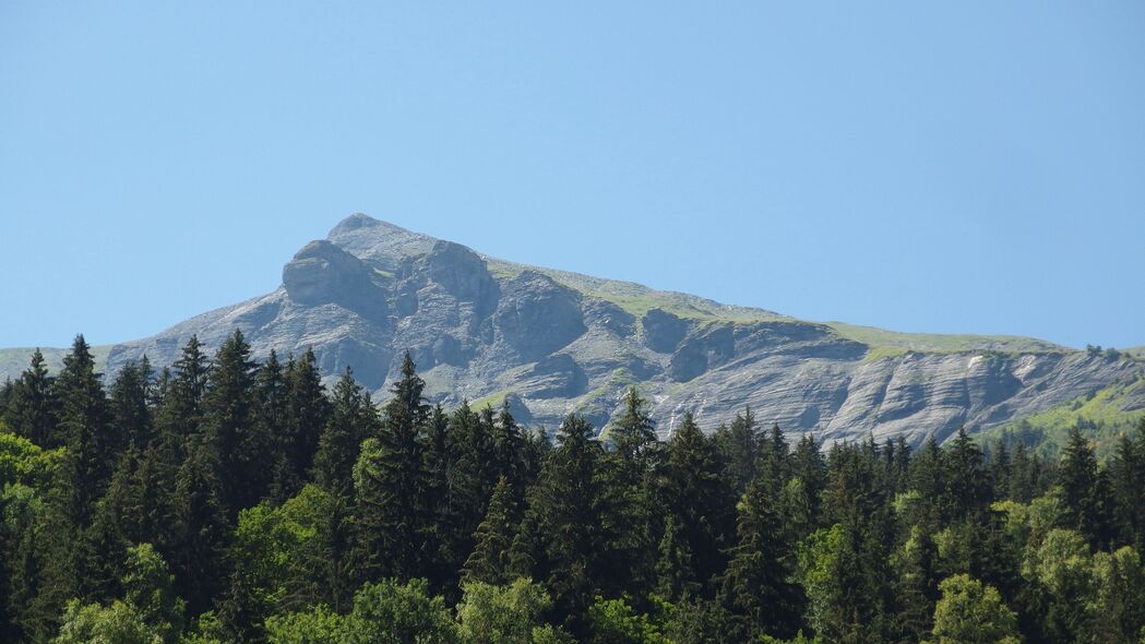 高清山峰森林4K壁纸，3840x2160树木美景，免费下载精选图片