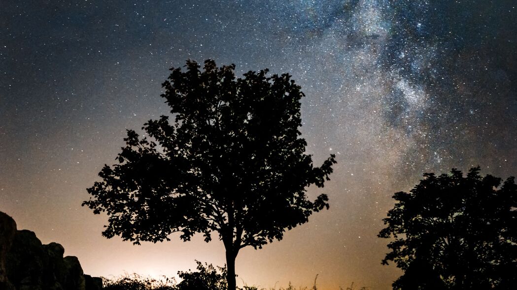 银河星光树木剪影，夜晚自然之美——高清4K壁纸（3840x2160）免费下载