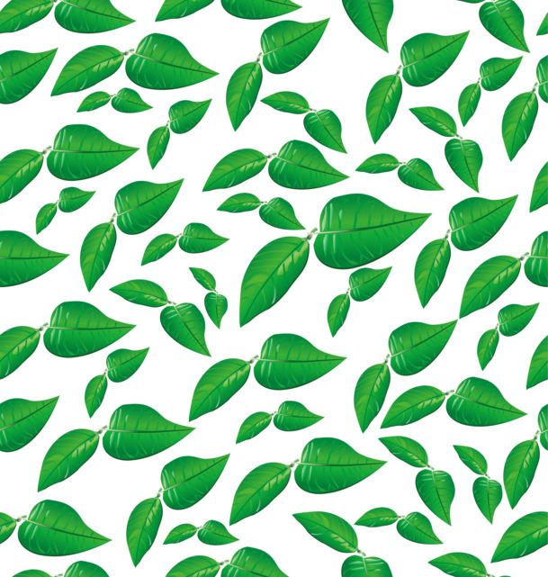 绿色矢量叶子背景PNG，高清透明植物装饰素材下载