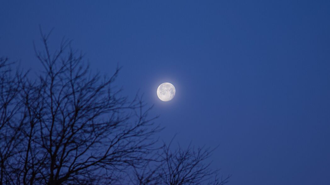 月亮之树，夜色深邃，高清4K壁纸，3840x2160极致画质，一键下载绝美背景图片