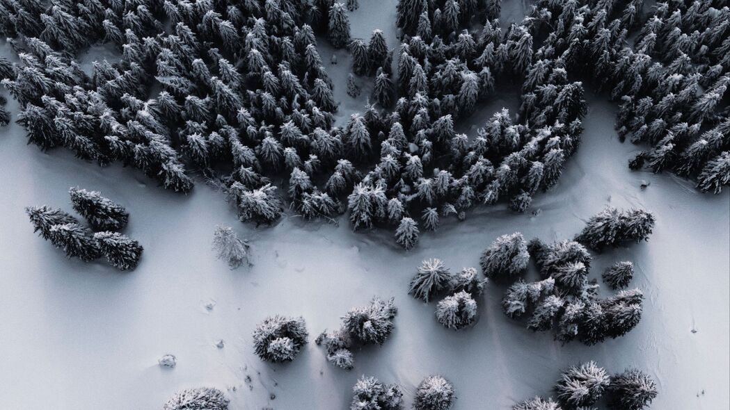 冬日森林雪景鸟瞰，纯净白色4K超清壁纸，3840x2160高清下载
