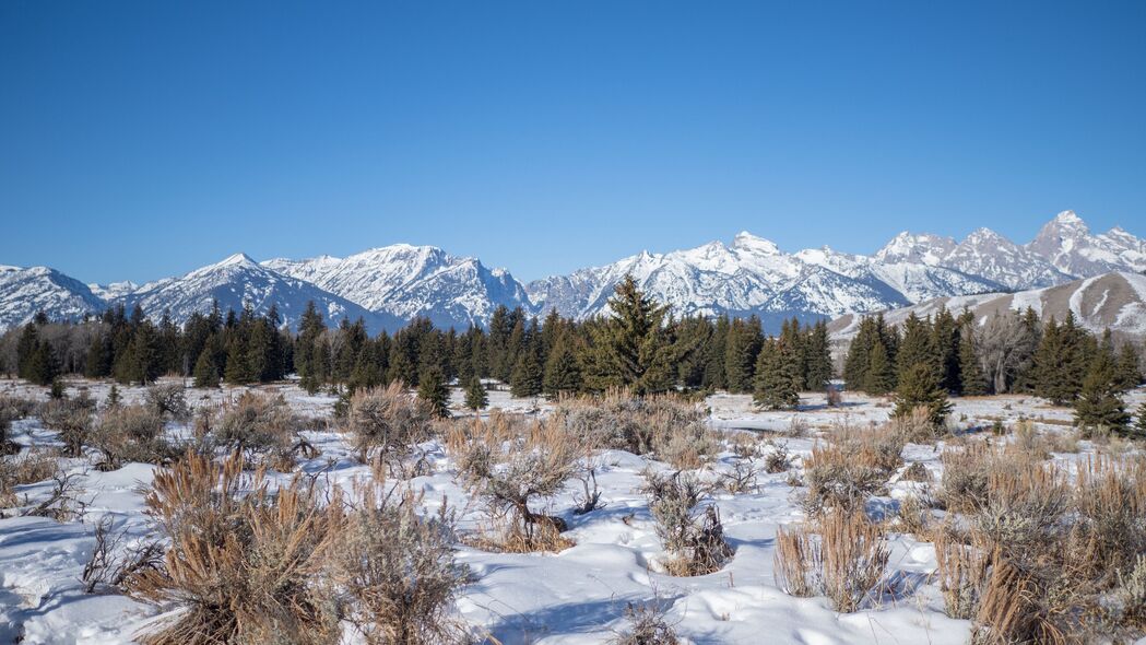 山脉雪景高清4K壁纸，树木灌木共绘绝美风景，3840x2160分辨率，免费下载