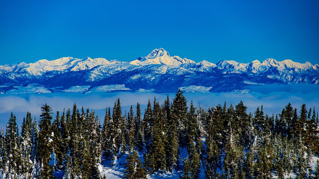 冬日山脉雪景高清4K壁纸，树木披霜，云雾缭绕，美景尽在3840x2160分辨率