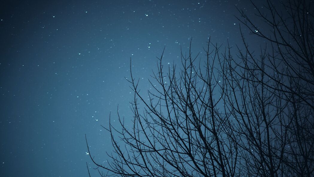 树枝星空，深邃夜色中的璀璨星星4K高清壁纸，3840x2160超清下载