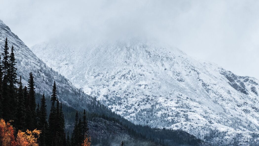 山峰雪林4K高清壁纸，树木云景，绝美风景图片，3840x2160分辨率，畅享自然之美