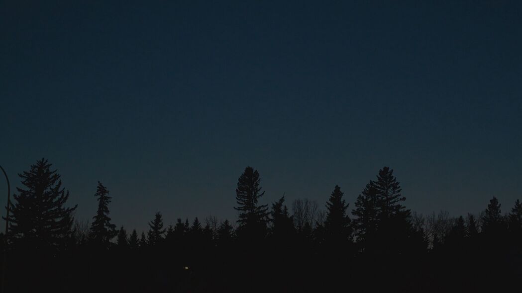 夜晚深色剪影，树与月亮的浪漫邂逅——4K高清壁纸（3840x2160）免费下载