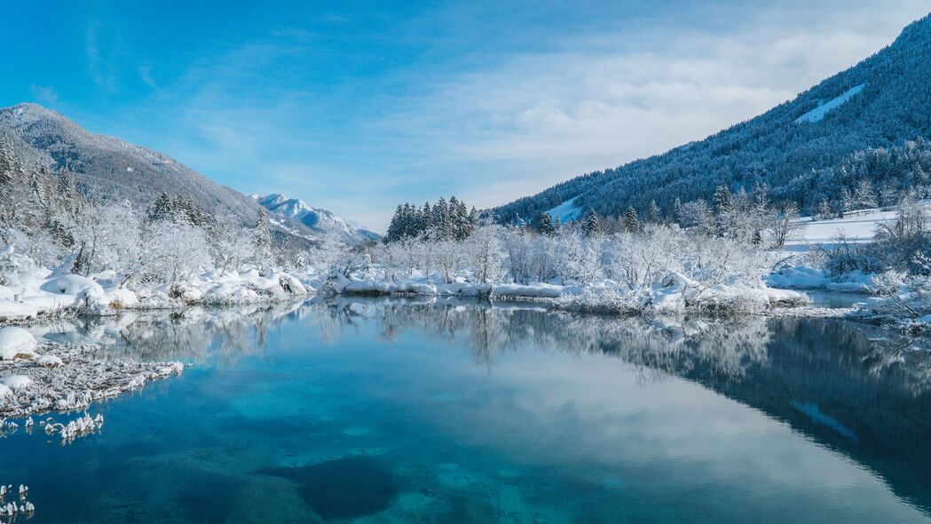 冬日湖畔雪景，树影斑驳，海岸静谧——4K高清壁纸（3840x2160）免费下载